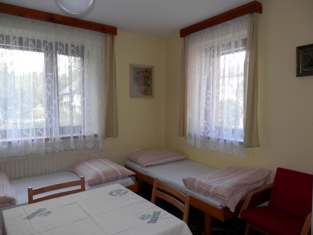 Ubytování Verner Destne v Orlickych horach Pokoj fotografie